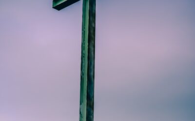 “Wolves Don’t Advertise: 7 Traits of False Teachers”