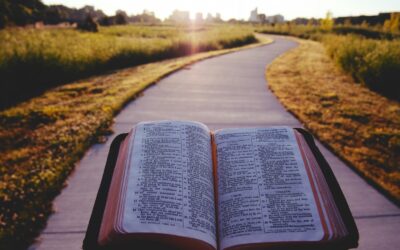Is Alcohol Use Among Christians The New ‘Golden Calf’ ?