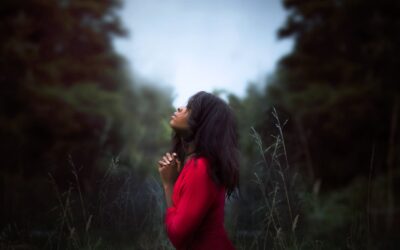“Christmas—The Tree, The Cost, and The Cross”