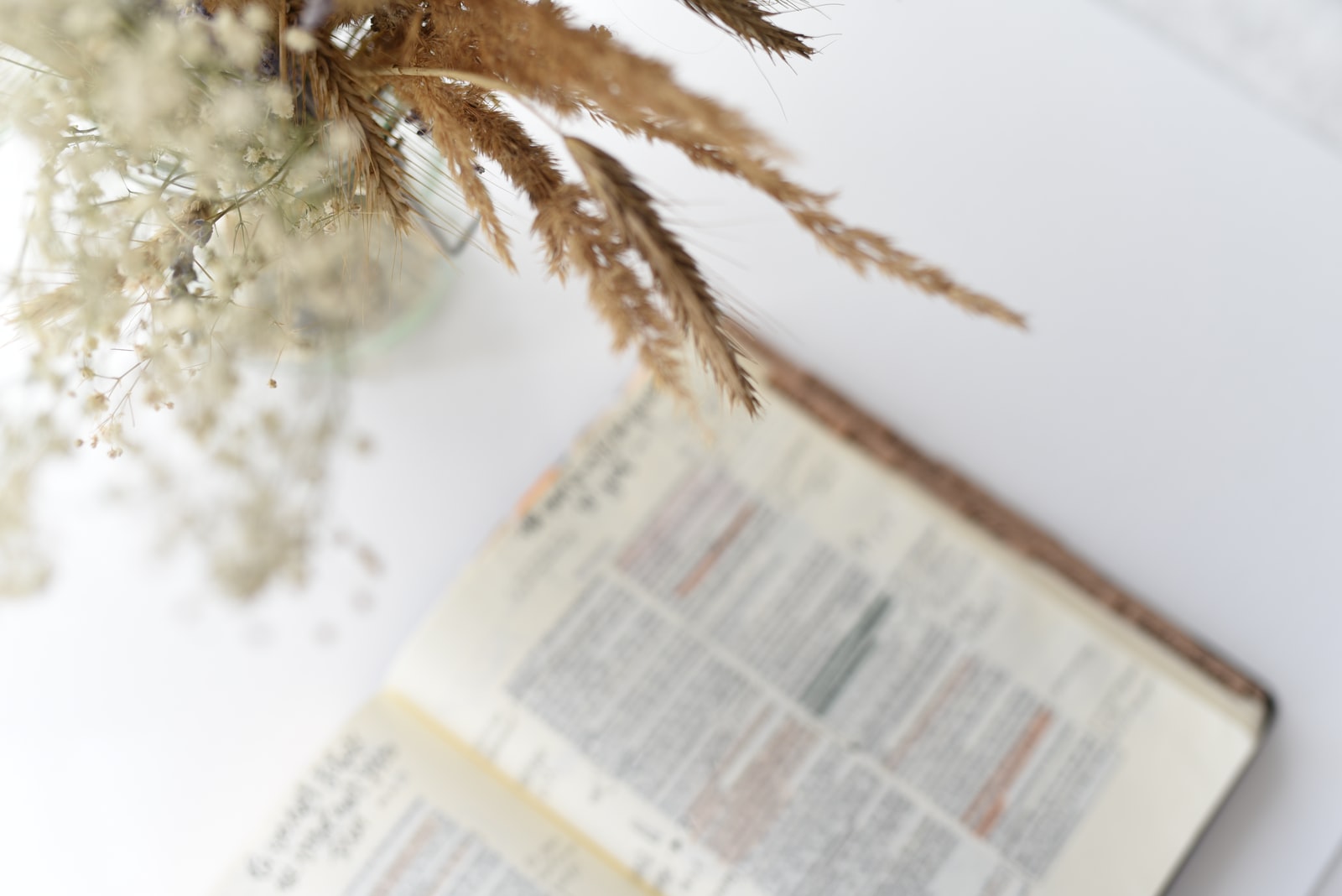 brown feather