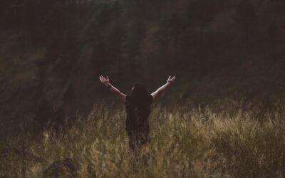 “Christmas: Should Christians Celebrate Holidays?”
