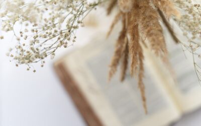 MONEY: Is it Servant or Master?