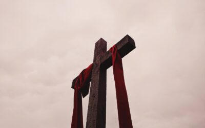 GUNS—What Does the Bible Say?