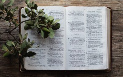 God’s At War: Sex, Money, Power & Addiction
