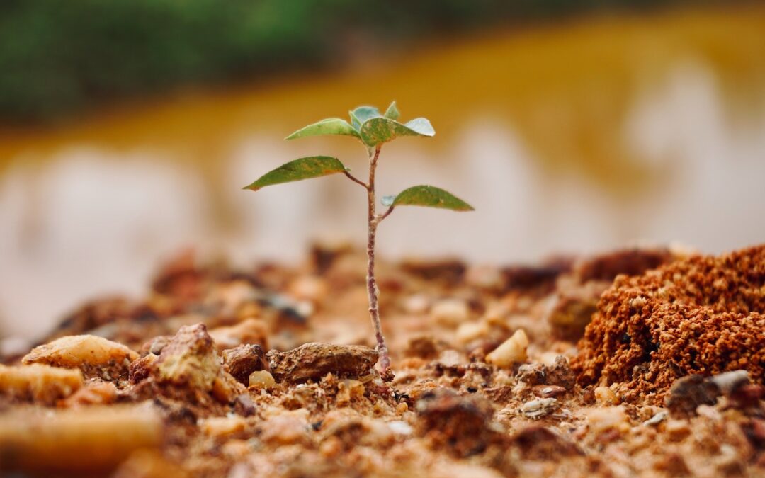 5 Crucial Lessons Learned From Planting A Church