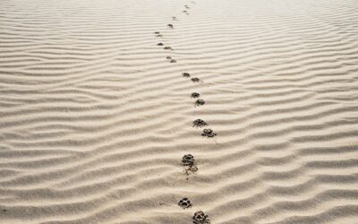 Principles To Consider Before Leaving Your Church